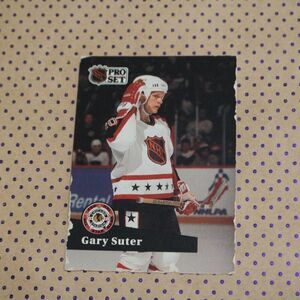 Gary Suter #276 Hockey Card